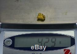 #1000 Australian Natural Gold Nugget 4.29 Grams Genuine