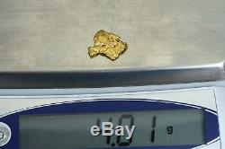 #1006 Australian Natural Gold Nugget 4.01 Grams Genuine