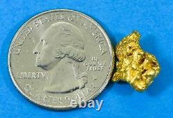 #1006 Natural Gold Nugget Australian 4.96 Grams Genuine