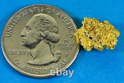 #1009 Natural Gold Nugget Australian 2.98 Grams Genuine
