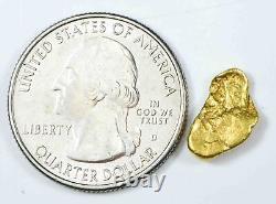 #101 Alaskan BC Natural Gold Nugget 1.66 Grams Genuine