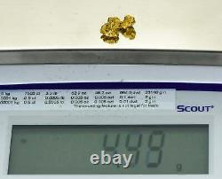 #1013 Natural Gold Nugget Australian 4.49 Grams Genuine