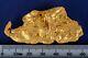 102.14 Gram Natural Gold Nugget From Australia
