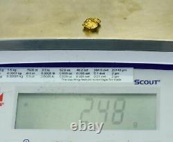 #1021 Natural Gold Nugget Australian 2.48 Grams Genuine