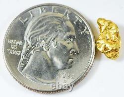 #103 Alaskan BC Natural Gold Nugget 1.48 Grams Genuine