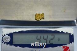 #1034 Australian Natural Gold Nugget 4.42 Grams Genuine