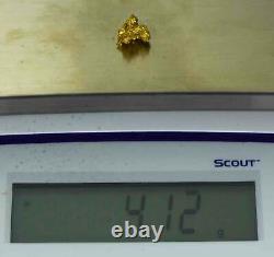 #1037 Natural Gold Nugget Australian 4.12 Grams Genuine