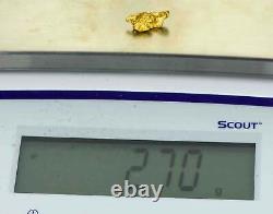 #1039 Natural Gold Nugget Australian 2.70 Grams Genuine