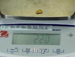 #1045 Natural Gold Nugget Australian 2.20 Grams Genuine