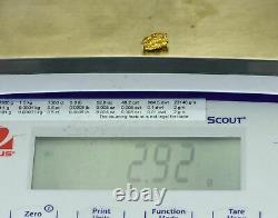 #1048 Natural Gold Nugget Australian 2.92 Grams Genuine