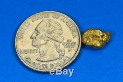 #105 Alaskan BC Natural Gold Nugget 1.95 Grams Genuine