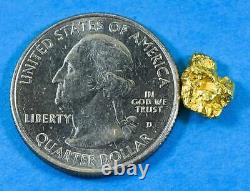 #106 Alaskan BC Natural Gold Nugget 1.66 Grams Genuine