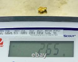 #1078 Natural Gold Nugget Australian 2.65 Grams Genuine