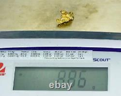 #1081 Natural Gold Nugget Australian 8.86 Grams Genuine