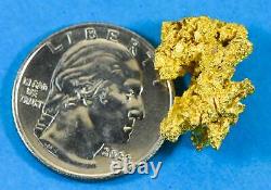 #1083 Natural Gold Nugget Australian 7.42 Grams Genuine