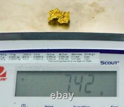 #1083 Natural Gold Nugget Australian 7.42 Grams Genuine