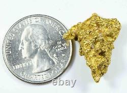 #1084 Natural Gold Nugget Australian 9.93 Grams Genuine
