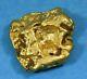 #1087 Australian Natural Gold Nugget 13.16 Grams Genuine