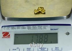 #1087 Natural Gold Nugget Australian 17.88 Grams Genuine
