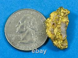 #1089 Natural Gold Nugget Australian 12.01 Grams Genuine