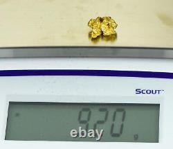 #1094 Natural Gold Nugget Australian 9.20 Grams Genuine