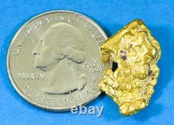 #1099 Natural Gold Nugget Australian 9.08 Grams Genuine