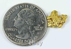 #11 Alaskan BC Natural Gold Nugget 1.55 Grams Genuine