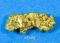 #110 Alaskan BC Natural Gold Nugget 1.69 Grams Genuine