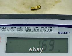 #110 Alaskan BC Natural Gold Nugget 1.69 Grams Genuine