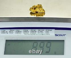 #1100 Natural Gold Nugget Australian 8.99 Grams Genuine