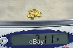 #1101 Large Natural Gold Nugget Australian 7.11 Grams Genuine