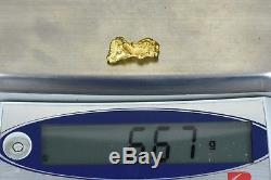 #1102 Large Natural Gold Nugget Australian 6.67 Grams Genuine