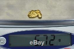 #1104 Large Natural Gold Nugget Australian 5.72 Grams Genuine