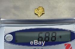 #1105 Large Natural Gold Nugget Australian 6.88 Grams Genuine