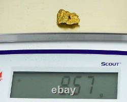 #1110 Natural Gold Nugget Australian 8.57 Grams Genuine
