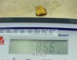 #1119 Natural Gold Nugget Australian 8.56 Grams Genuine