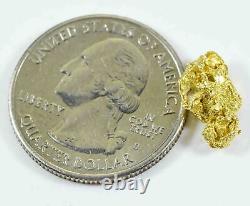 #112 Alaskan BC Natural Gold Nugget 1.44 Grams Genuine