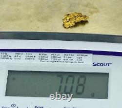 #1124 Natural Gold Nugget Australian 7.08 Grams Genuine