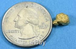 #114 Alaskan BC Natural Gold Nugget 1.75 Grams Genuine
