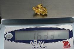 #1141 Large Natural Gold Nugget Australian 16.33 Grams Genuine