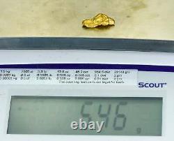 #1145 Natural Gold Nugget Australian 5.46 Grams Genuine