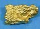 #1148 Australian Natural Gold Nugget 9.14 Grams Genuine