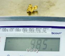 #1148 Natural Gold Nugget Australian 9.85 Grams Genuine