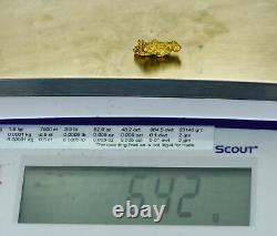 #1153 Natural Gold Nugget Australian 6.42 Grams Genuine