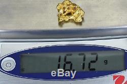 #1154 Large Natural Gold Nugget Australian 16.72 Grams Genuine