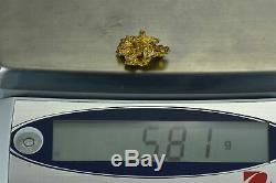 #1160 Large Natural Gold Nugget Australian 5.81 Grams Genuine