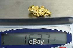 #1163 Large Natural Gold Nugget Australian 16.27 Grams Genuine