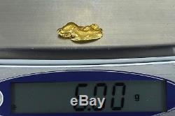 #1170 Large Natural Gold Nugget Australian 6.00 Grams Genuine