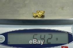 #1171 Australian Natural Gold Nugget 5.42 Grams Genuine