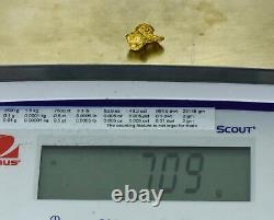 #1172 Natural Gold Nugget Australian 7.09 Grams Genuine